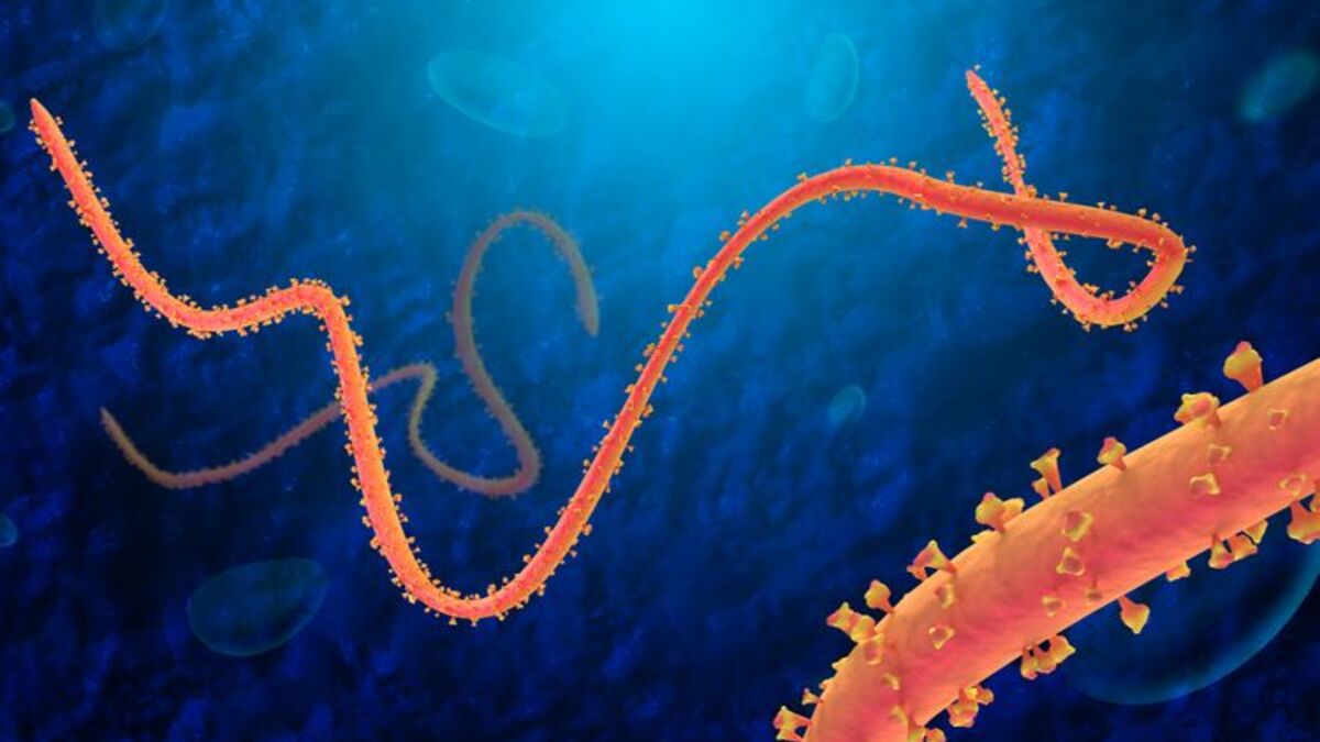 Virus Ebola : Apa yang Perlu Di Ketahui tentang Penyakit Ini post thumbnail image